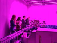 Image: Efsa in FEM- visita al fenotipizzatore