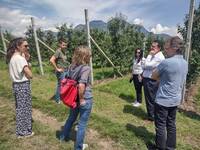 Image: Efsa in FEM- visita in campo con i ricercatori