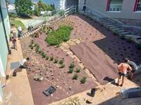 Image: Esperti-del-verde-urbano-iscrizioni-aperte-al-corso-post-diploma_large