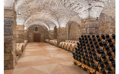 Image: exported-image (1)