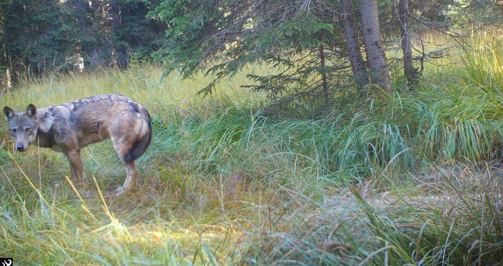 Image: f5e1e838-ed4b-4893-a16d-fcd1c5b83b21