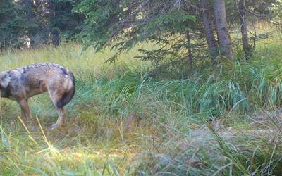 Image: f5e1e838-ed4b-4893-a16d-fcd1c5b83b21