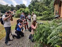 Image: FaunaHD 2021 009 (3)