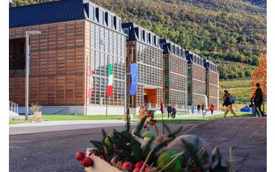 Image: Federico_Gazza-7959