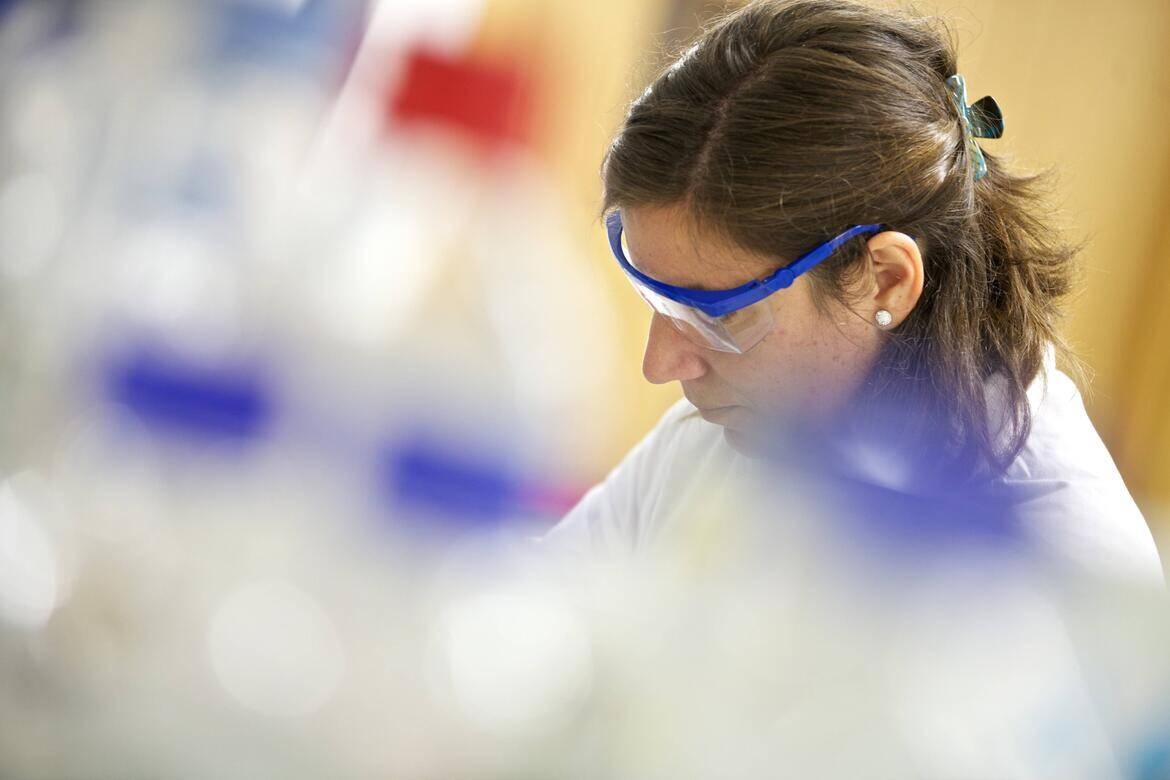 Image: FEM-12_reference