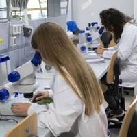 Immagine: FEM attivita al microscopio 7071-FEM_M.Festi