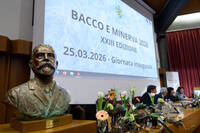 Immagine: FEM Bacco e Minerva 6001 LR