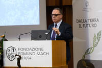 Immagine: FEM Bacco e Minerva 6085 LR