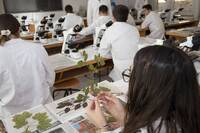 Immagine: FEM laboratorio 4643