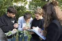 Image: FEM osservazioni nel parco 6513 (5)