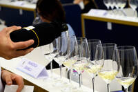 Immagine: FEM PIWI 6867 LR