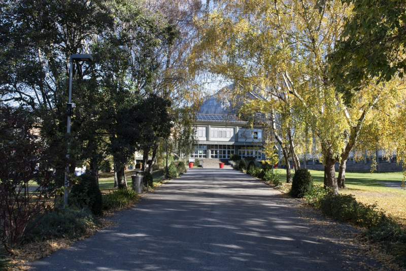 OPEN DAYS