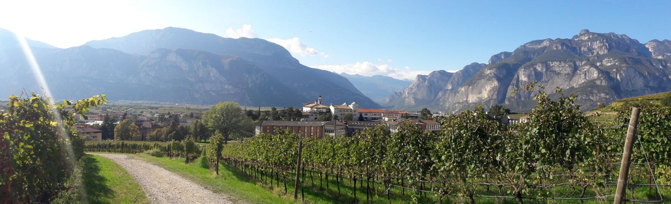 Image: FEM_PANORAMICA_silvia ceschini_2
