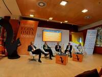 Image: Festival Economia - panel FEM -2