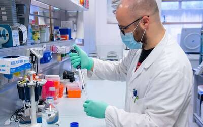 Image: fitopatologia