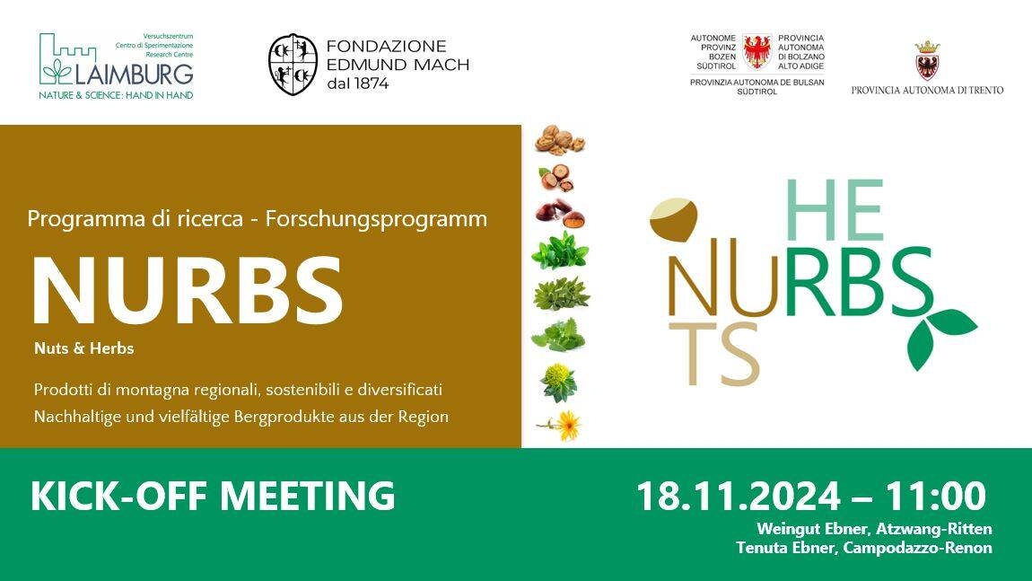 Image: Flyer NURBS