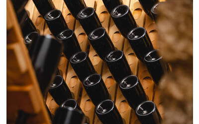 Image: Fondazione-Edmund-Mach-2019-Bassa-Risoluzione-Foto-Marco-Parisi-10