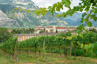 Image: Fondazione-Edmund-Mach-2019-Bassa-Risoluzione-Foto-Marco-Parisi-37