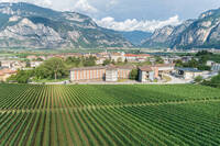 Immagine: Fondazione-Edmund-Mach-2019-Bassa-Risoluzione-Foto-Marco-Parisi-42