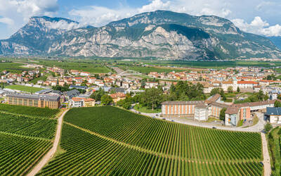 Image: Fondazione-Edmund-Mach-2019-Bassa-Risoluzione-Foto-Marco-Parisi-44