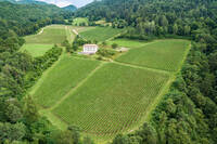 Immagine: Fondazione-Edmund-Mach-2019-Bassa-Risoluzione-Foto-Marco-Parisi-48