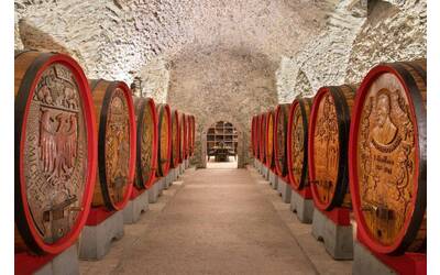 Image: Fondazione-Edmund-Mach-2019-Foto-Marco-Parisi-1bis