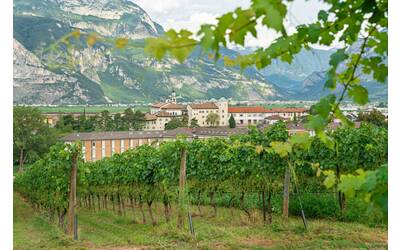 Image: Fondazione-Edmund-Mach-2019-Foto-Marco-Parisi-37 (1)