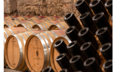 Image: Fondazione-Edmund-Mach-2019-Foto-Marco-Parisi-9 bassa risol