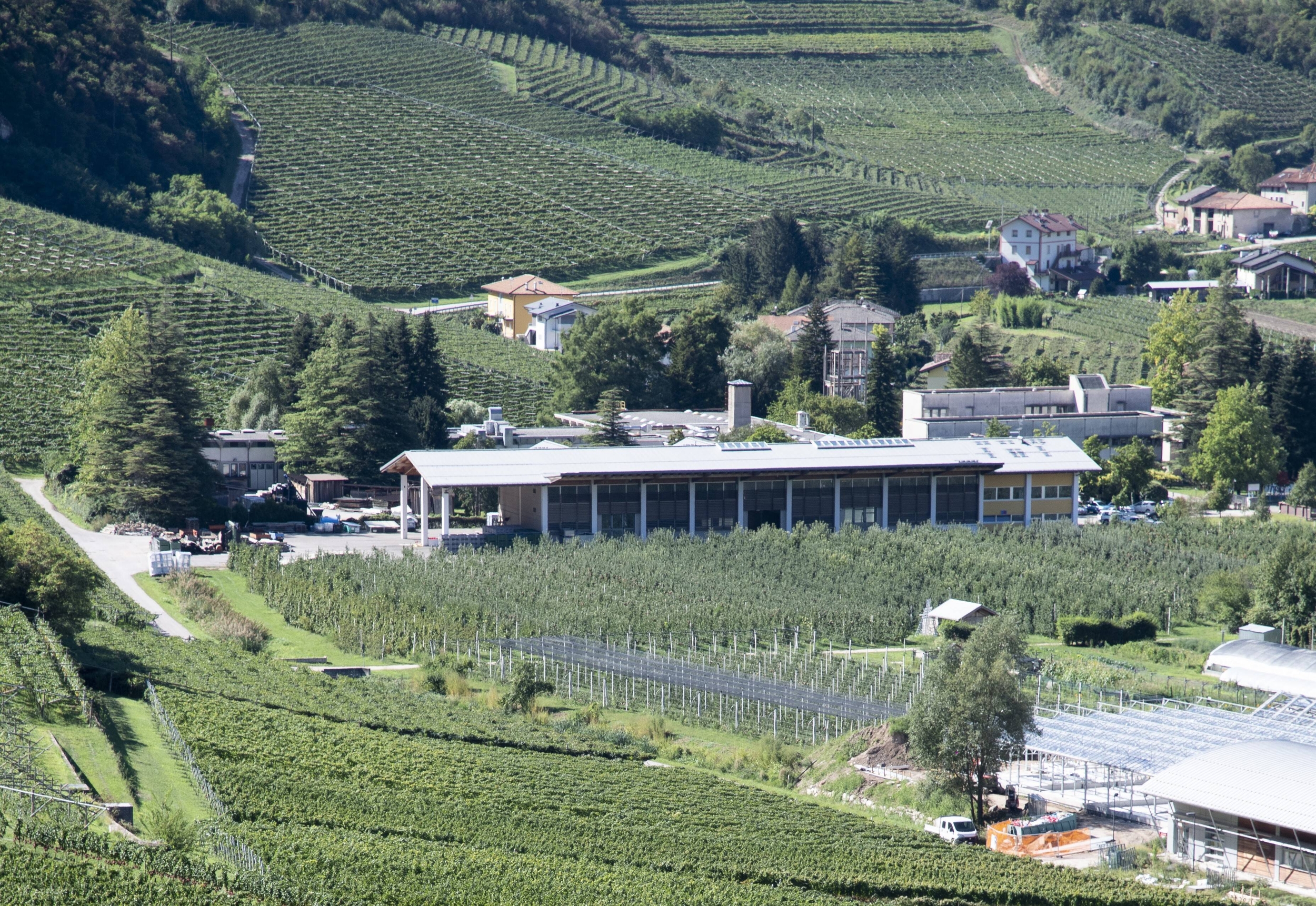 Image: Fondazione Edmund Mach 9313-COPIA