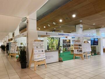 Image: Foto stand FEM