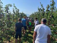 Image: frutteto sperimentale denno