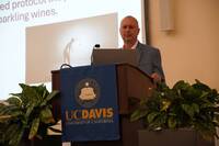 Immagine: Fulvio Mattivi- su concessione di IVAS 2024 – prof. Andrew Waterhouse