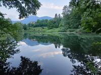 Image: gambero Louisiana presso Lago Costa (1)