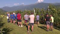 Immagine: Giornata frutticola a Spagolle (1)