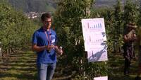 Immagine: Giornata frutticola a Spagolle (12)