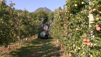 Immagine: Giornata frutticola a Spagolle (4)