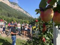 Image: giornata frutticola denno 21-8-24 (2)