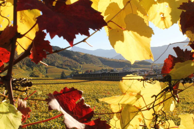 La Fondazione Mach ad Autumnus
