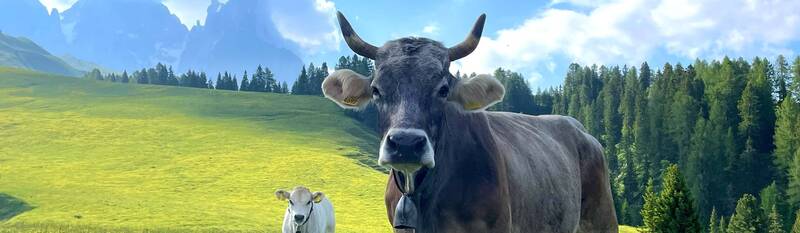 Giornata zootecnica 2026