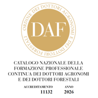 Immagine: Immagine 2026-02-23 092432