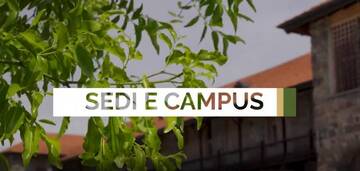Immagine: Immagine 2026-10-21 175548