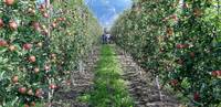 Immagine: imprenditori agricoli a maso delle part