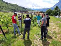 Immagine: imprenditori agricoli - corso BPIA