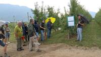 Immagine: Incontro frutticolo DENNO 20ago26_ esperti fem