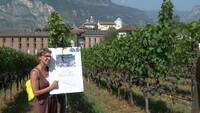 Immagine: Incontro tecnico vite bio _ 5 AGOSTO 2026