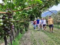 Image: incontro viticoltura bio - 3 ago 23- uff stampa (7)