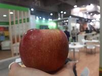 Image: interpoma mela