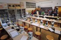 Immagine: laboratorio scuola fem