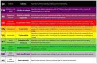 Immagine: Le categorie adottate dall’IUCN nelle liste rosse