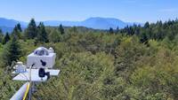 Immagine: le foreste remote del pianeta al Wired Next Fest